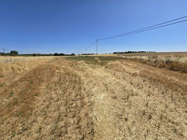 Terreno rustico in vendita a N/A 12/56