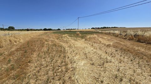Venta de terreno en Dos Torres