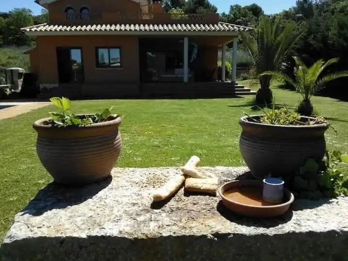 Chalet con piscina en venta en SALVADOR ESPRIU, imagen 5