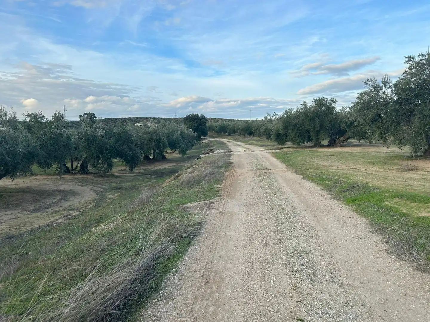 Grundstücke zum Verkauf in Andújar