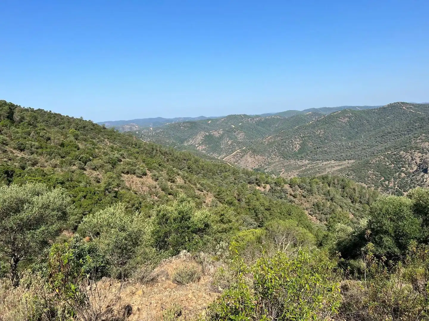 Grundstücke und Bauplätze zum Verkauf in Sureste, imagen 11