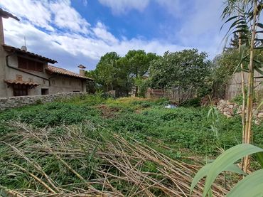Terreni e lotti in vendita a Berga