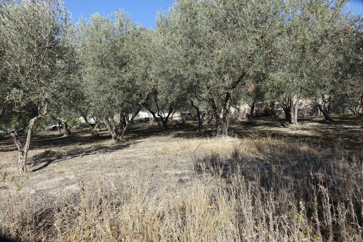 Rural land for sale in Órgiva, imagen 9