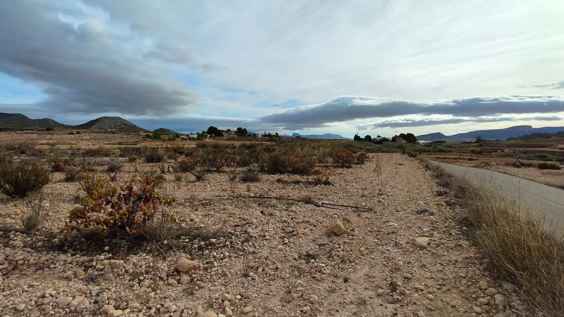 Rural land for sale in Monóvar  / Monòver, imagen 10