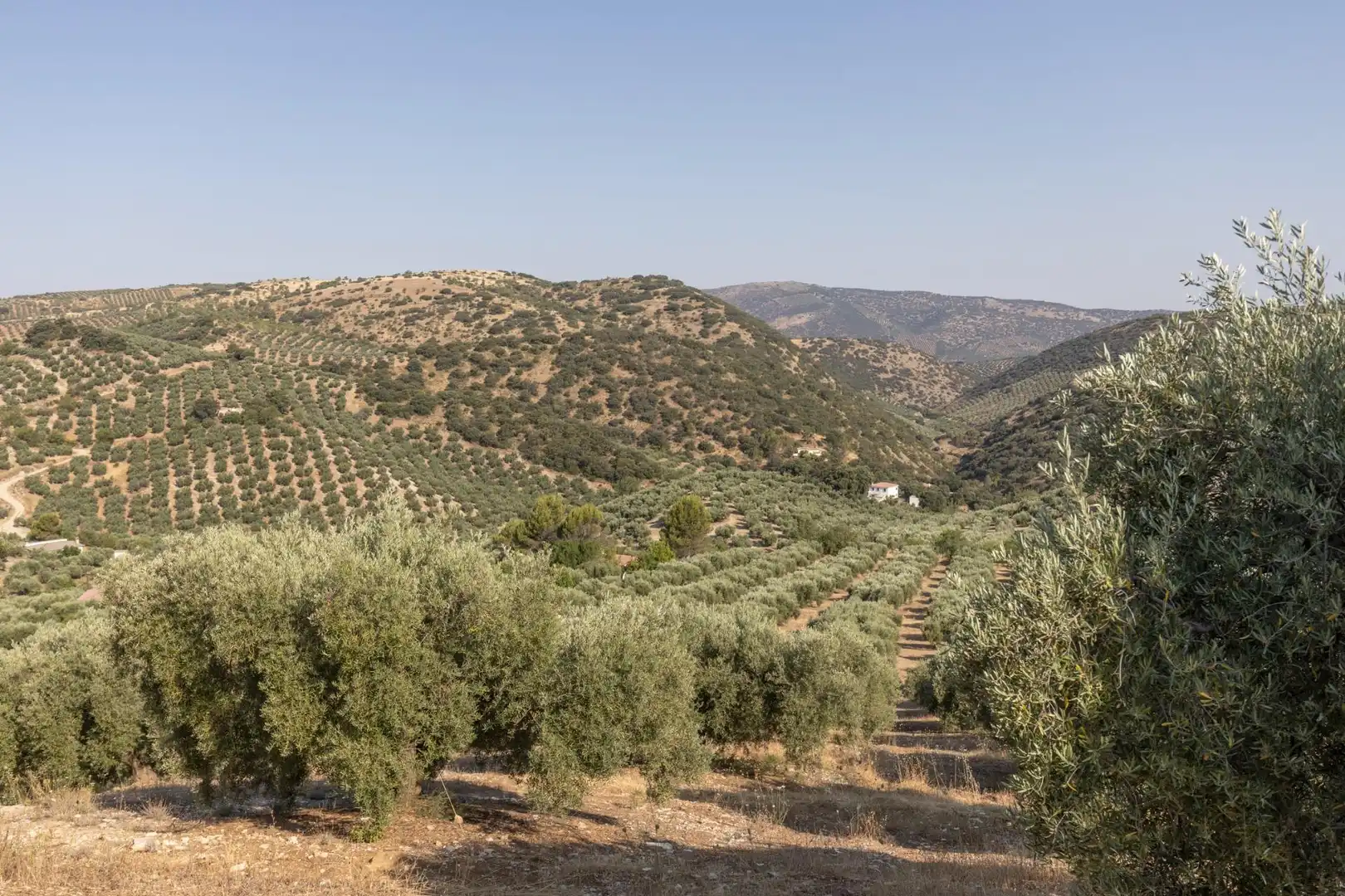 Terreni e lotti in vendita a Lugar Lugar del Cortijo Aguadero, imagen 9