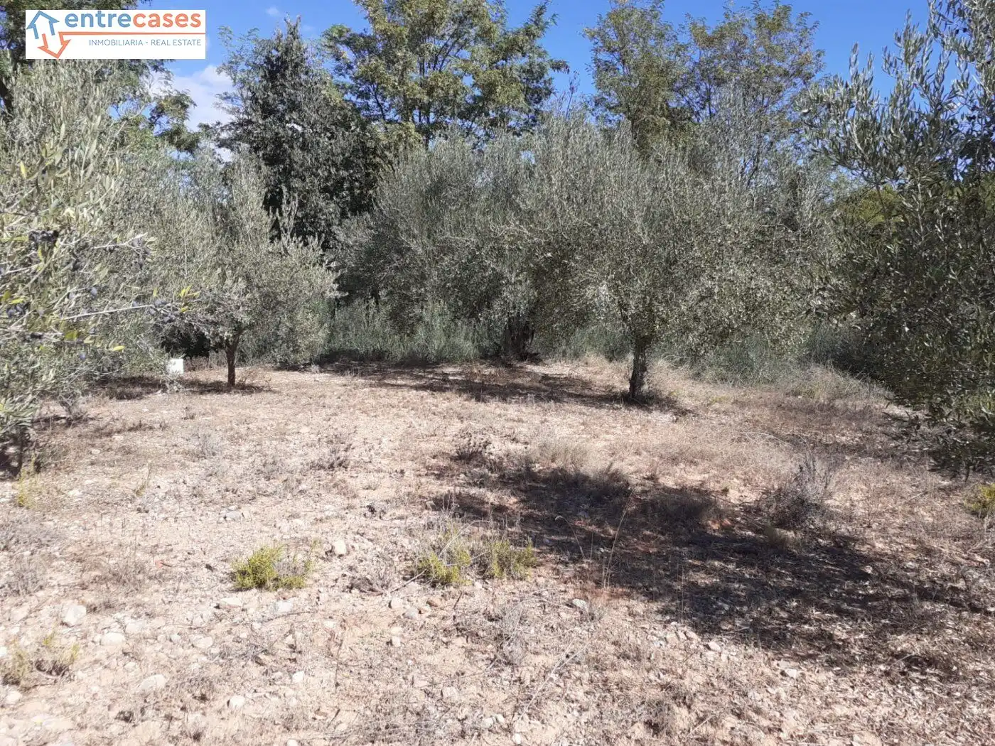 Terreno rustico in vendita a Segorbe, imagen 18