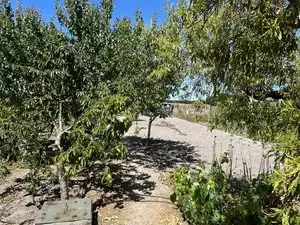 Chalet con jardín en venta en Plaza Descubrimiento, imagen 25