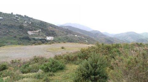 Terreno urbano en Guaro