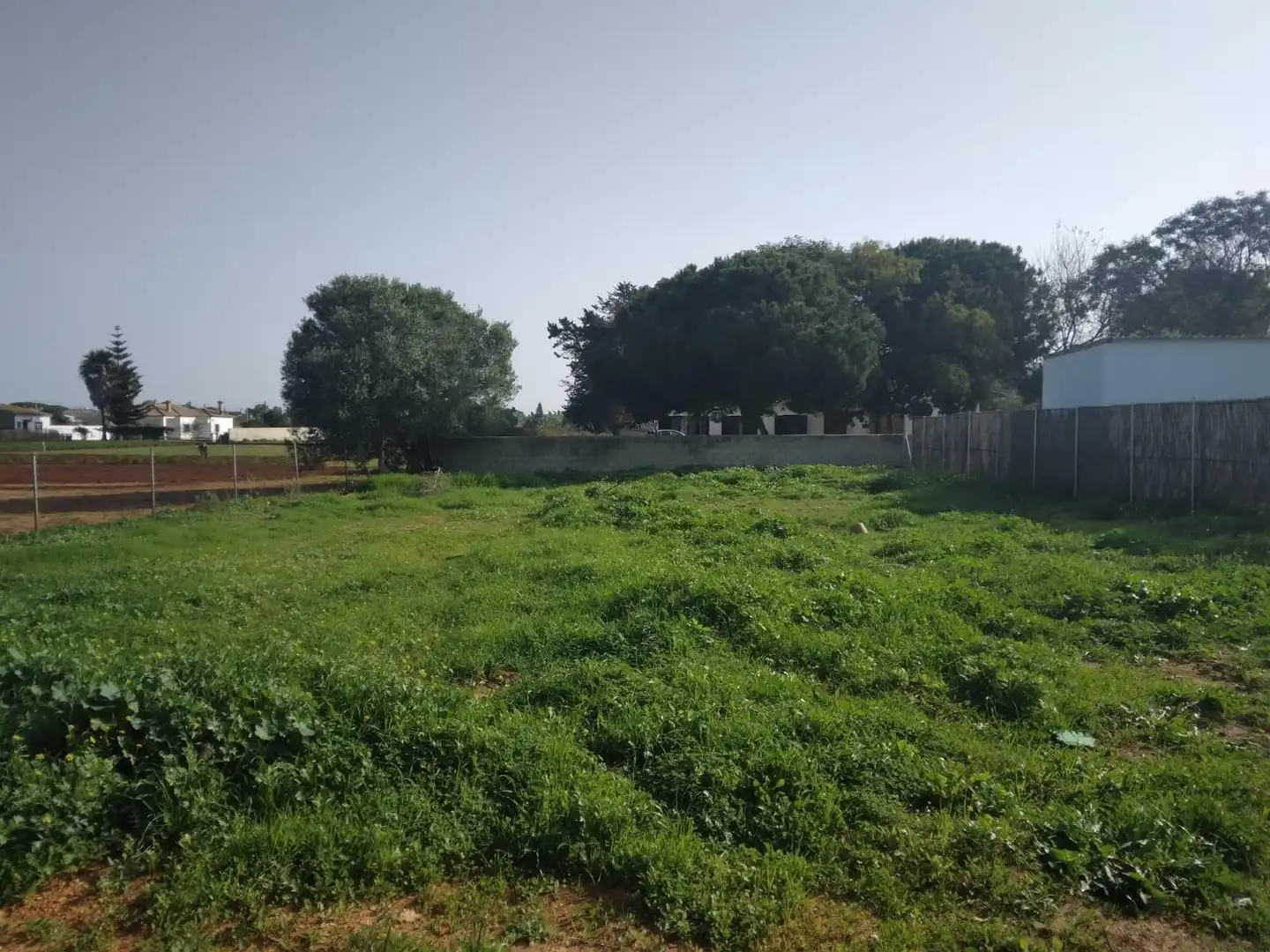 Terrenys i solars en venda a Las Lagunas - Campano, imagen 3