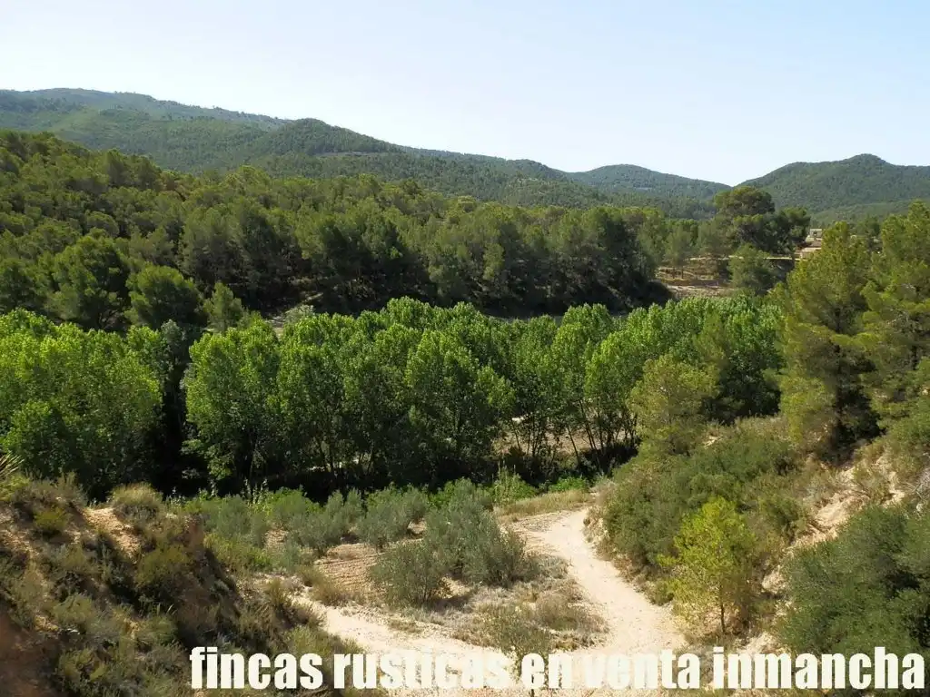 Terreny rústic en venda a Jijona / Xixona, imagen 18