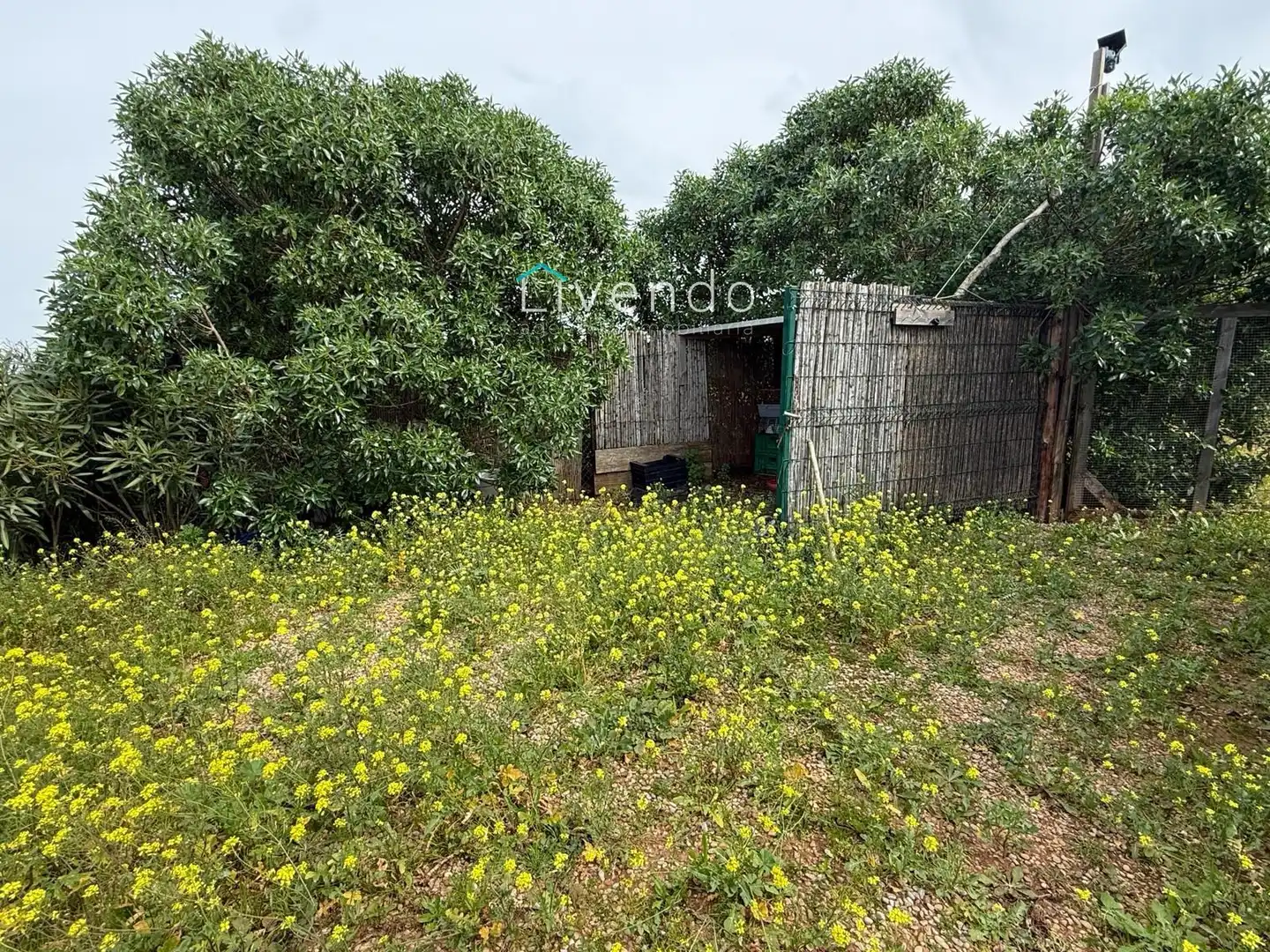 Terreny en venda en Conil de la Frontera