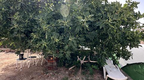 Foto 4 de Finca rústica en venda a Pulpí pueblo, Almería