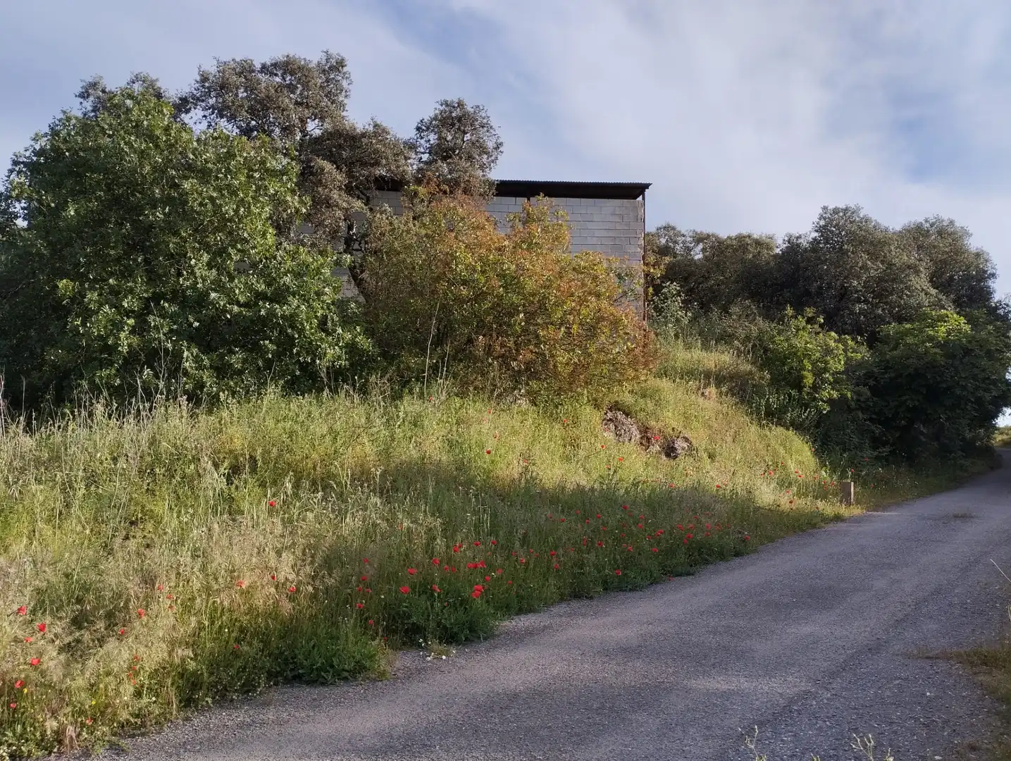 Terreno rustico in vendita a Calle Doña Mencía, imagen 9