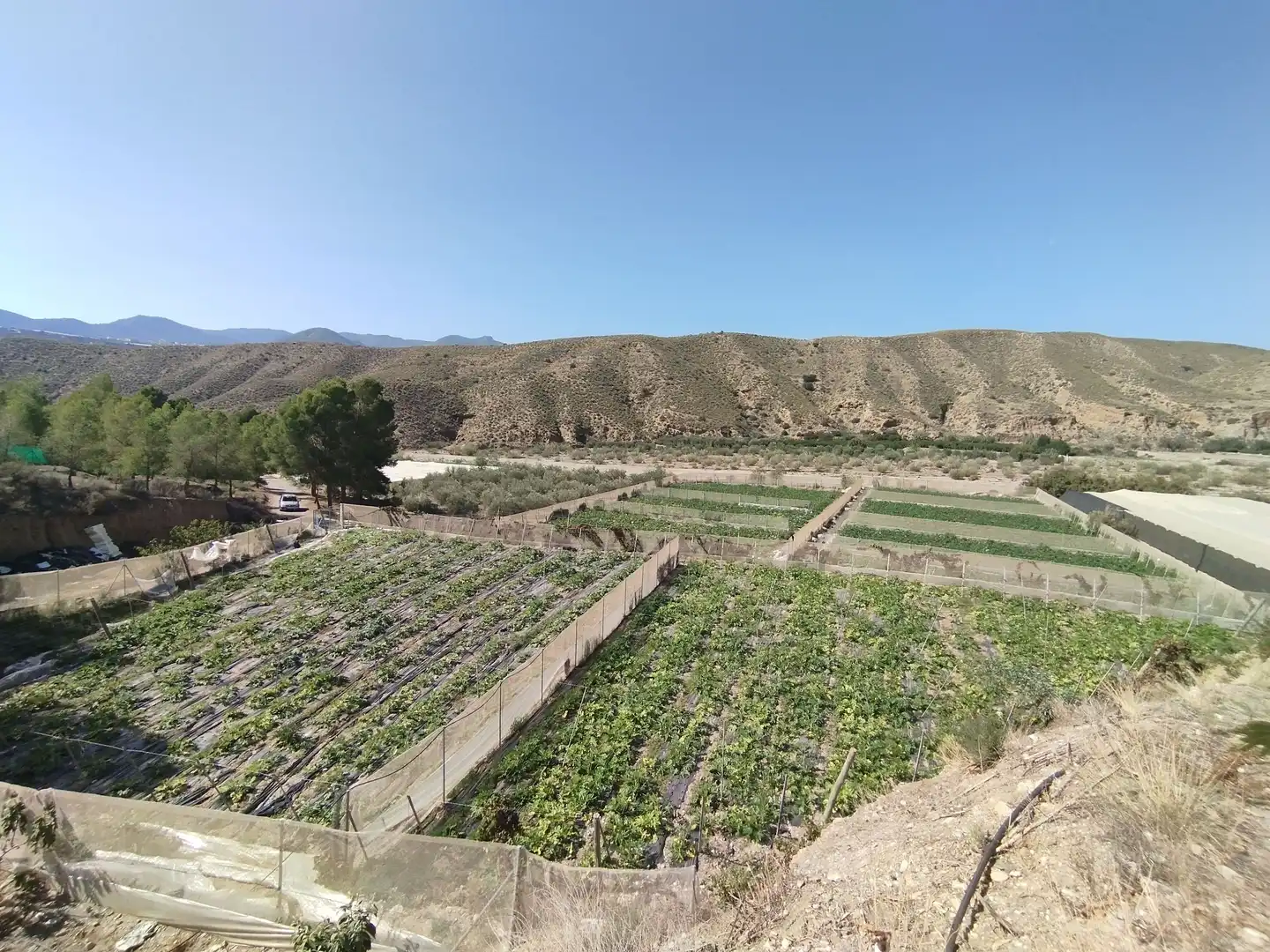 Terreno rustico in vendita a Santa Fe de Mondújar