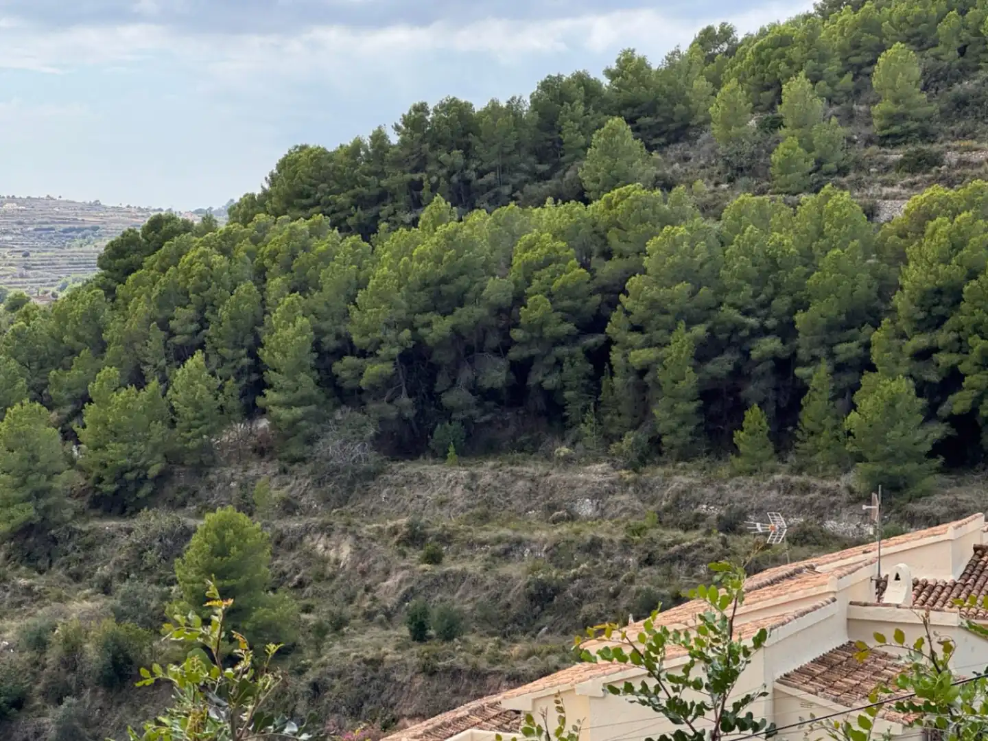 Terrain résidentiel à vendre à Teulada, imagen 9