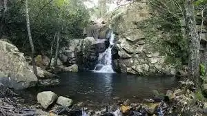 Piscina de Casa o xalet en venda en Los Barrios amb Aire condicionat, Jardí privat i Terrassa