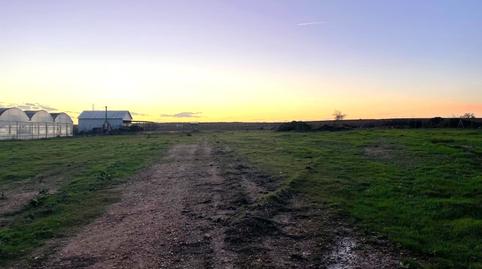 Photo 3 of Country house for sale in N/a, Villablanca, Huelva