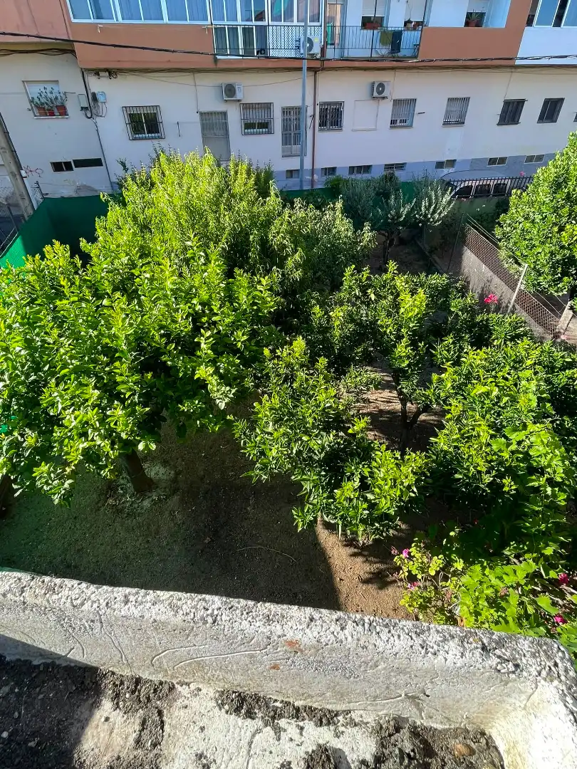 Houses for sale in Plasencia  with Heating, Private garden and Terrace