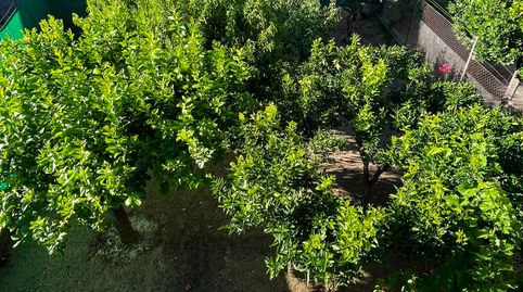 Photo 4 of Houses for sale in Avenida Salamanca, Los Pinos - El Pilar, Plasencia