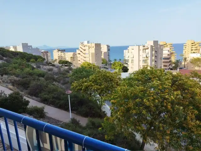 Vista exterior de Piso de alquiler en Elche / Elx con Terraza, Amueblado y Piscina comunitaria