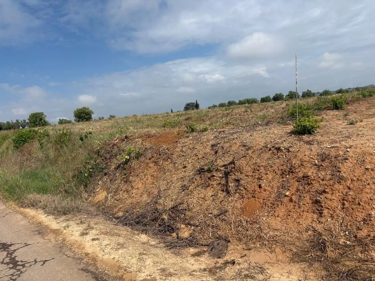 Terreno rustico in vendita a Almonte ciudad, imagen 12