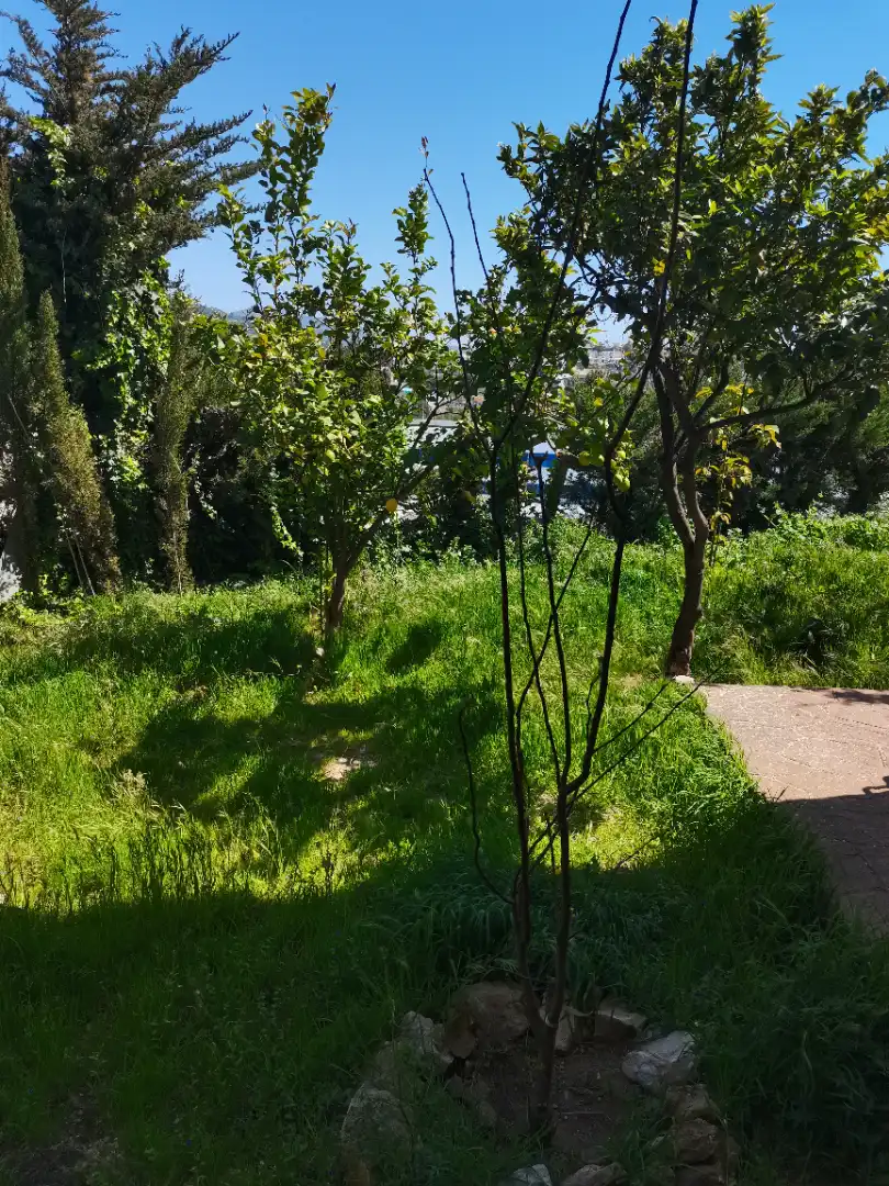 Casa o xalet en venda en Málaga amb Calefacció, Jardí privat i Parquet