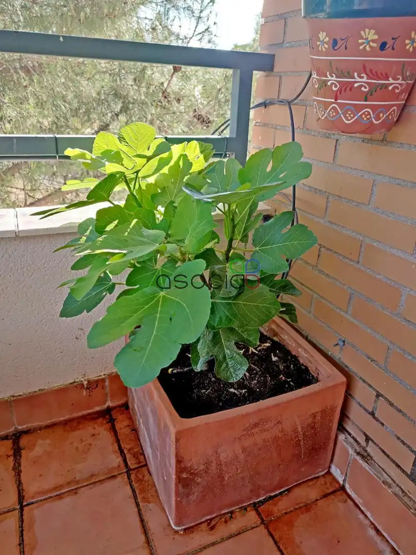 Garden of Flat for sale in Guadalajara  with Air Conditioner, Heating and Terrace