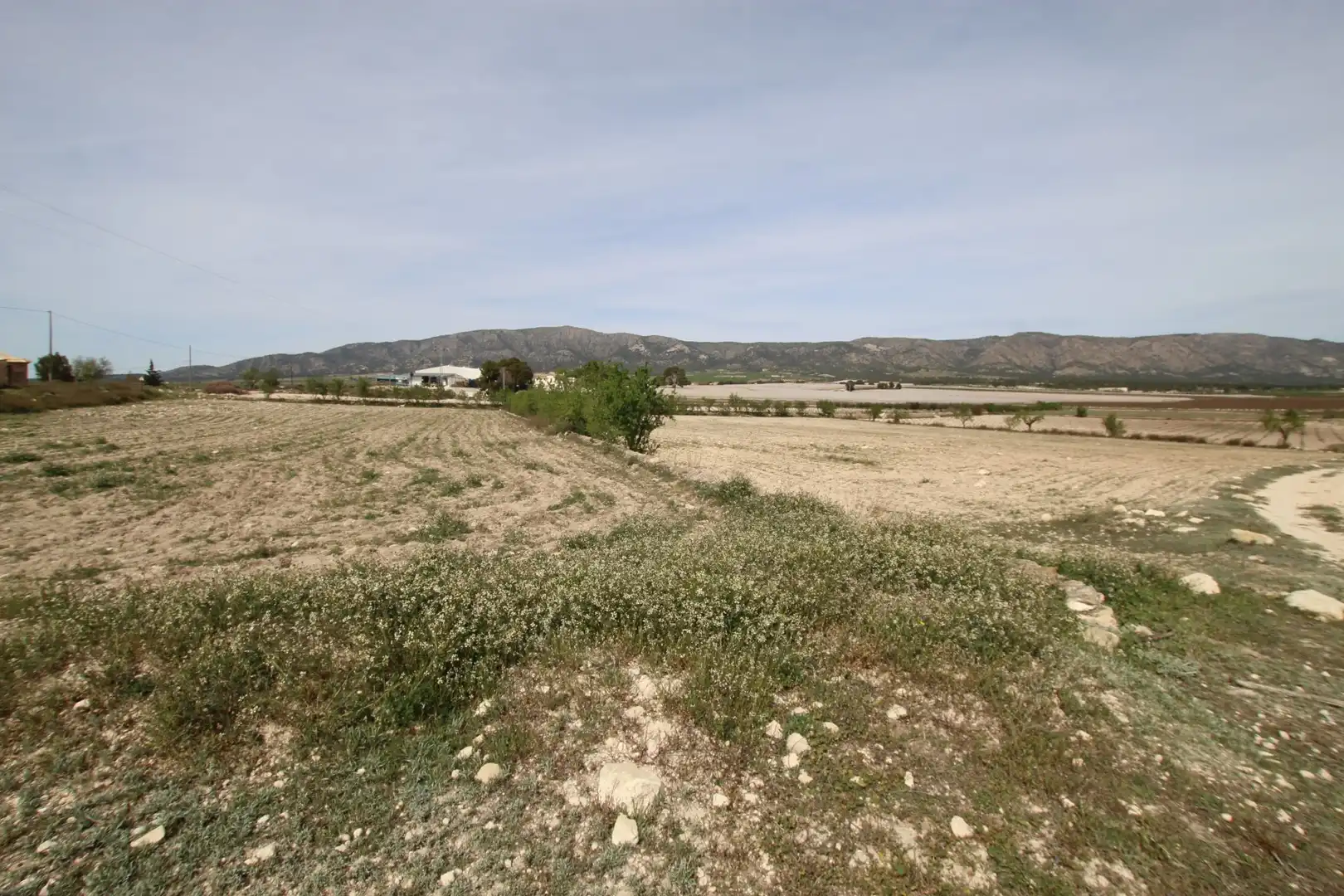 Maison rustique à vendre à Monóvar  / Monòver, imagen 13