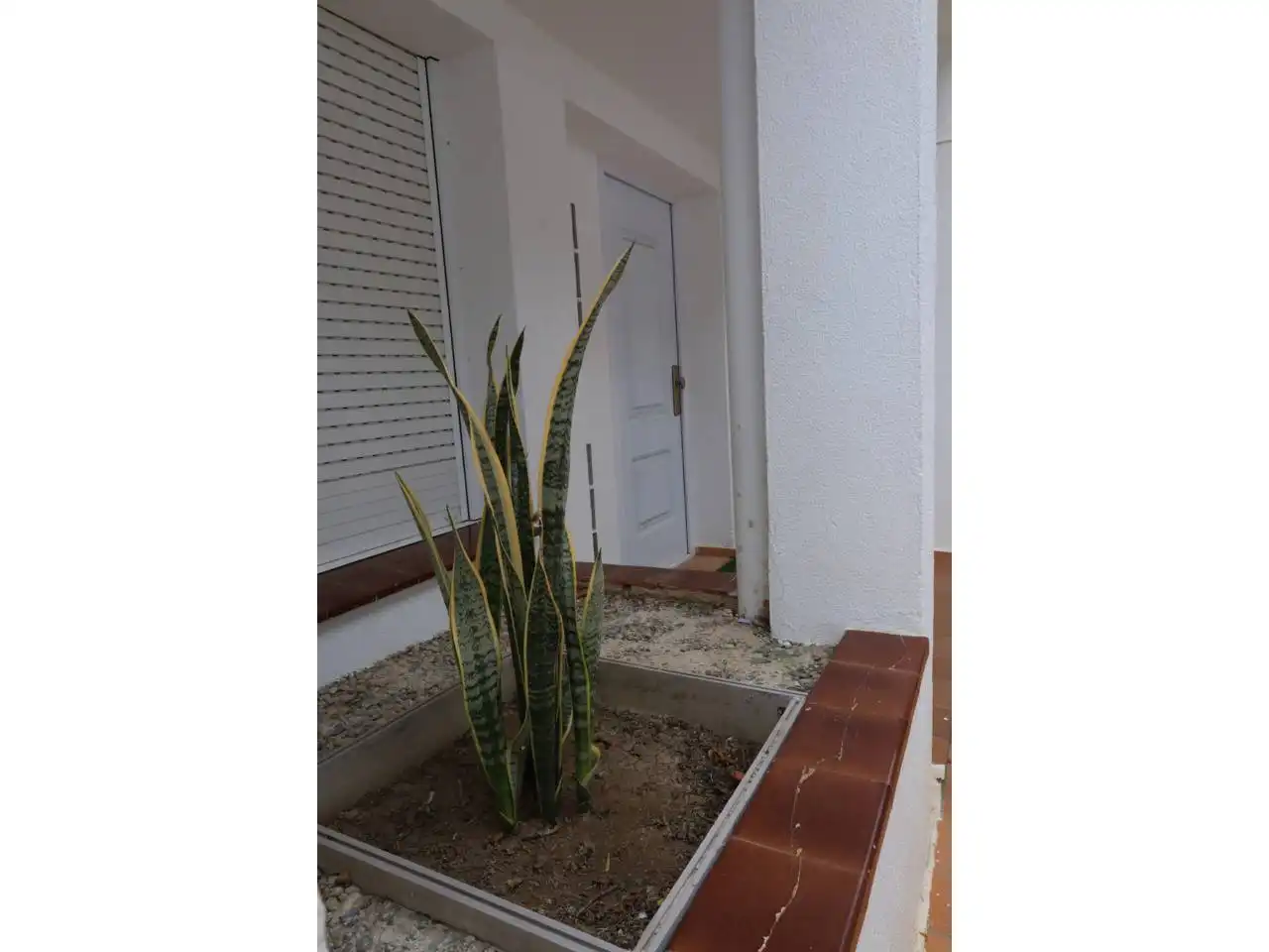 Casa o chalet en venta en Lloret de Mar con Jardín privado, Terraza y Piscina
