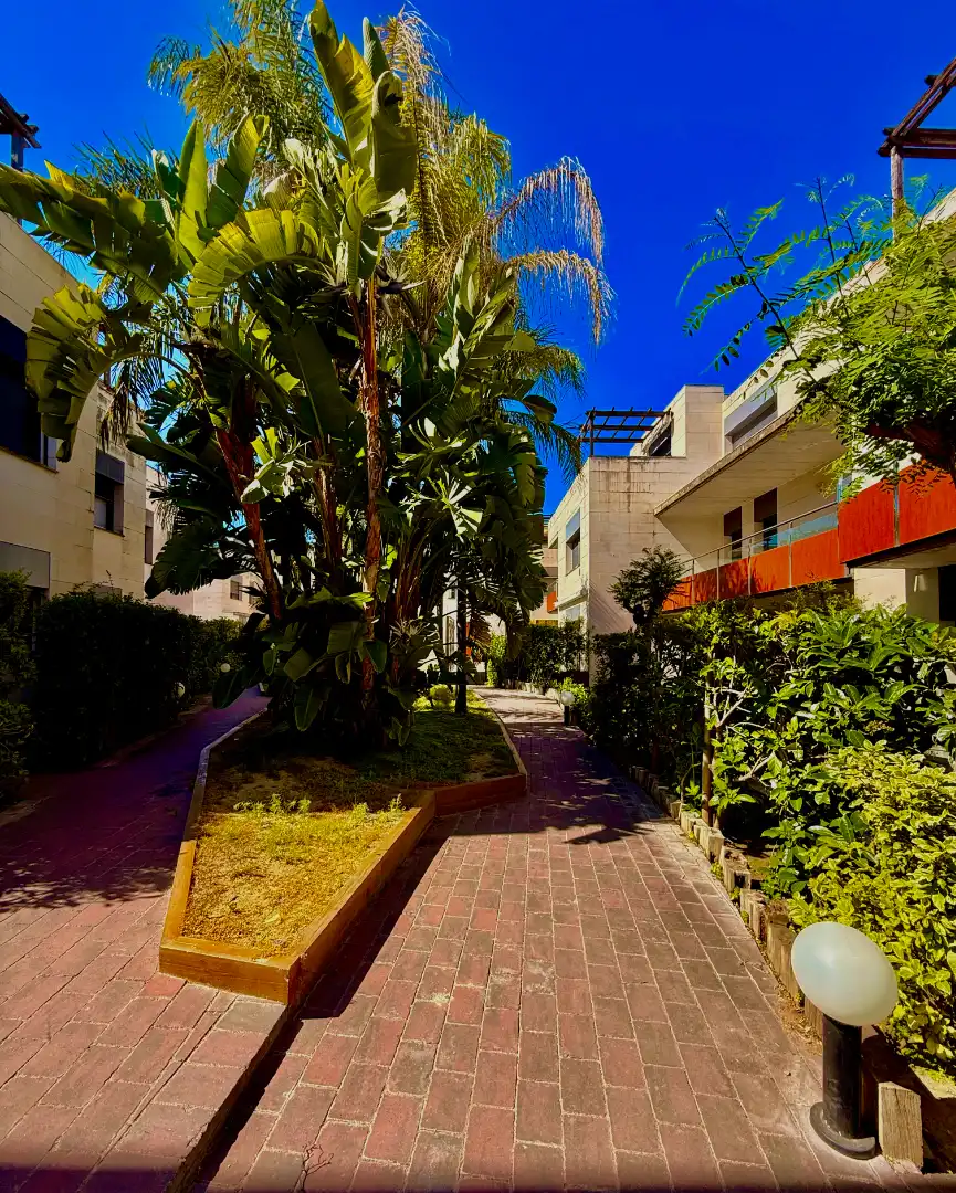 Maison jumelée avec terrasse à vendre à Avinguda del Sol 22, imagen 2