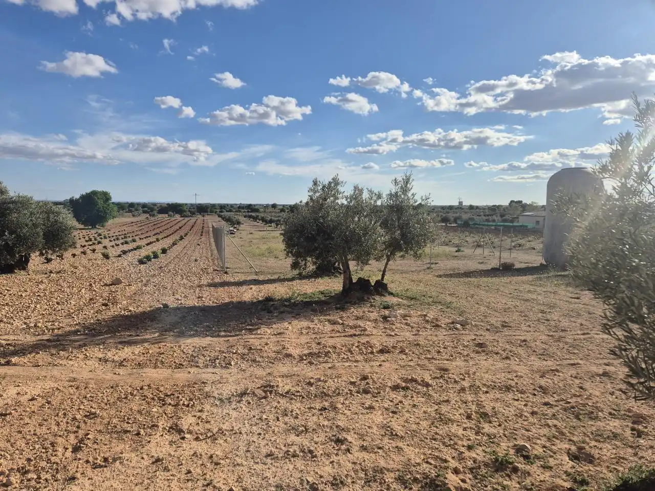 Rustikales Grundstück zum Verkauf in Ctra. Las Mesas, imagen 9