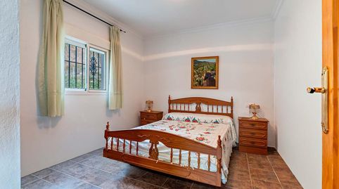 FINCA RUSTICA PRODUCTIVA, immagine 3