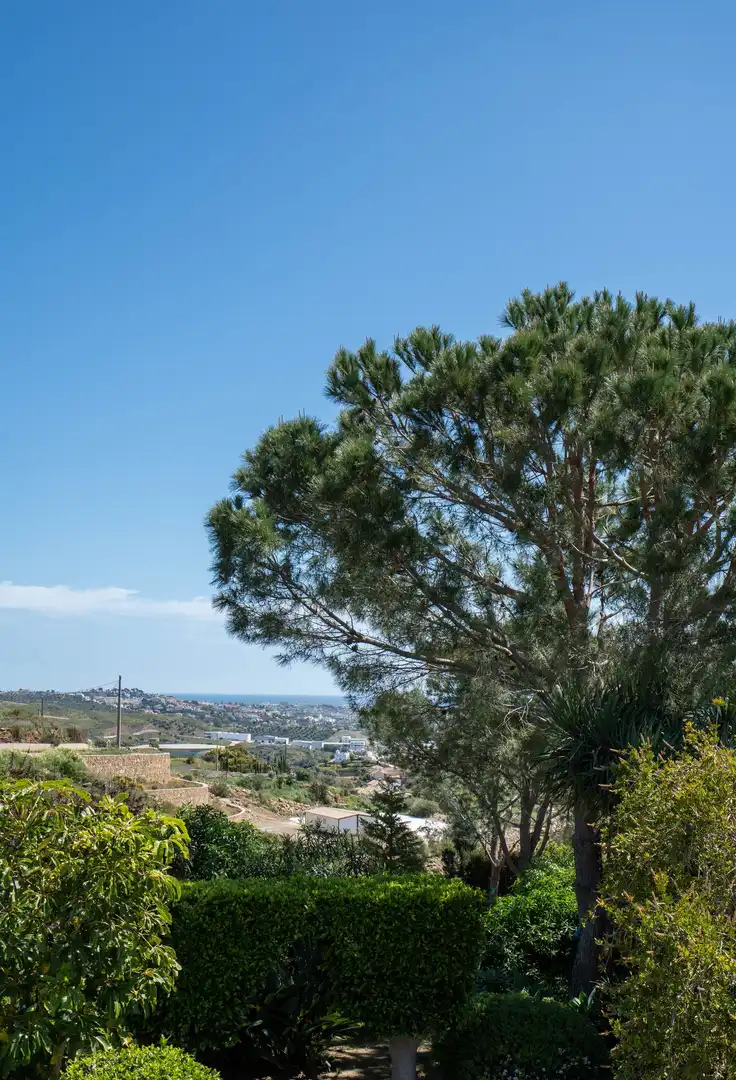Vista exterior de Finca rústica en venta en Mijas con Terraza