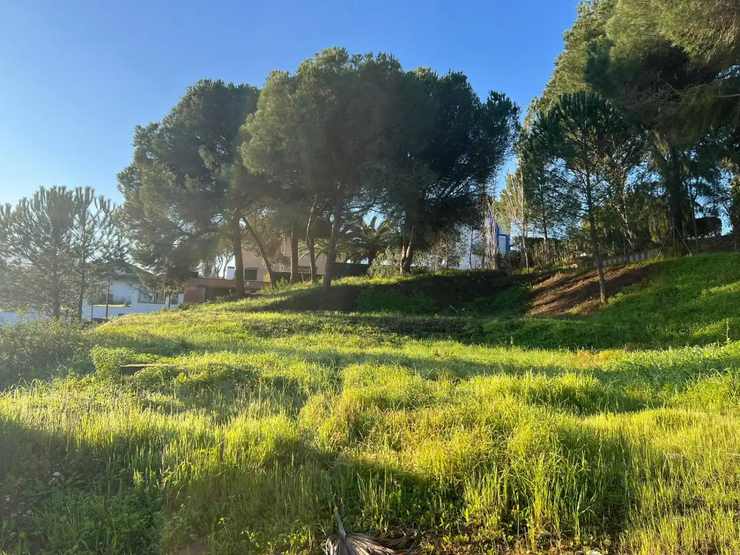 Terreni e lotti in vendita a Dehesa - Monacilla