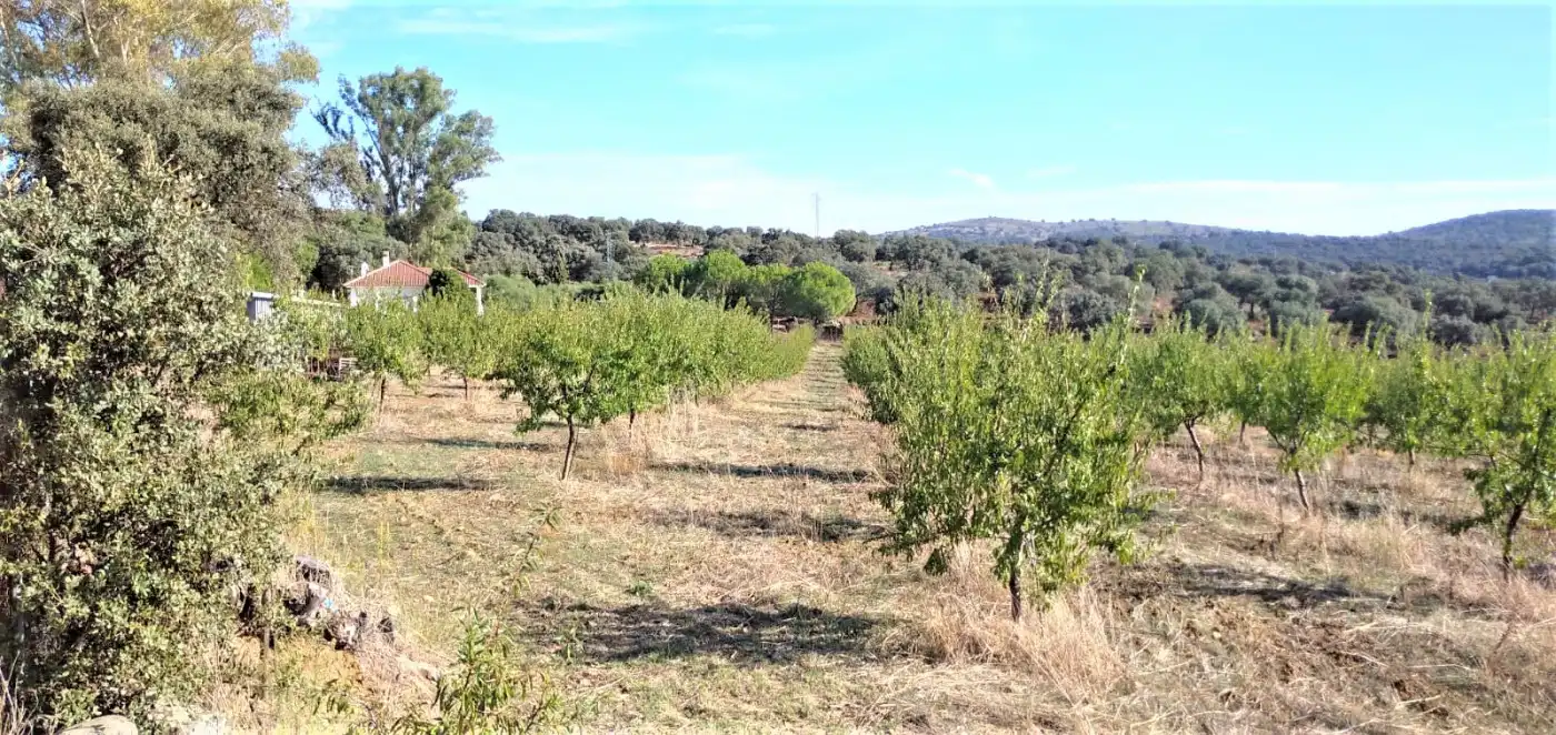 Haus mit Pool zum Verkauf in Castilblanco de los Arroyos, imagen 4