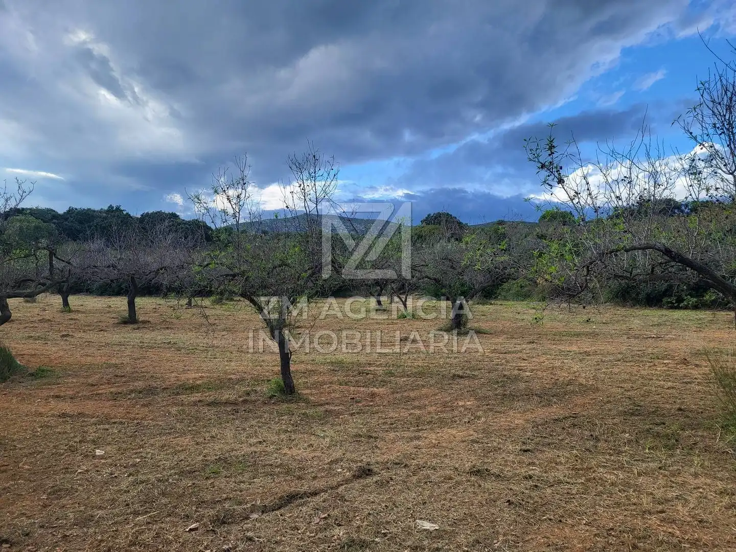 Terreno rustico in vendita a Traiguera, imagen 3