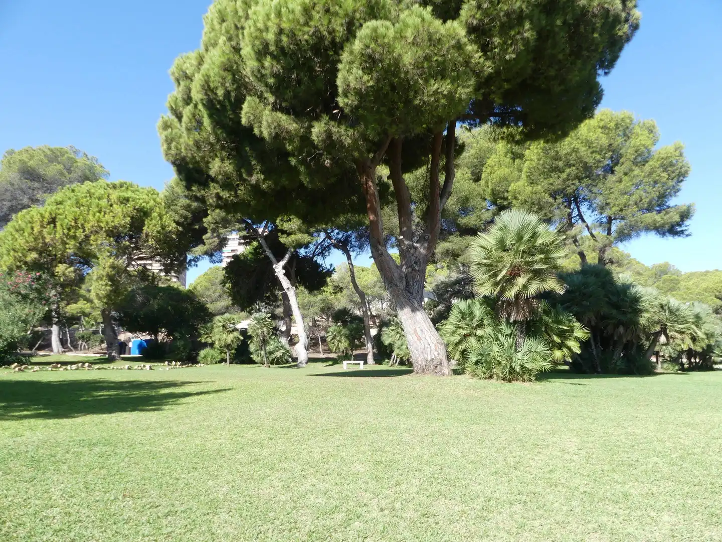 Garten von Wohnungen zum Verkauf in Orihuela mit Klimaanlage, Heizung und Terrasse