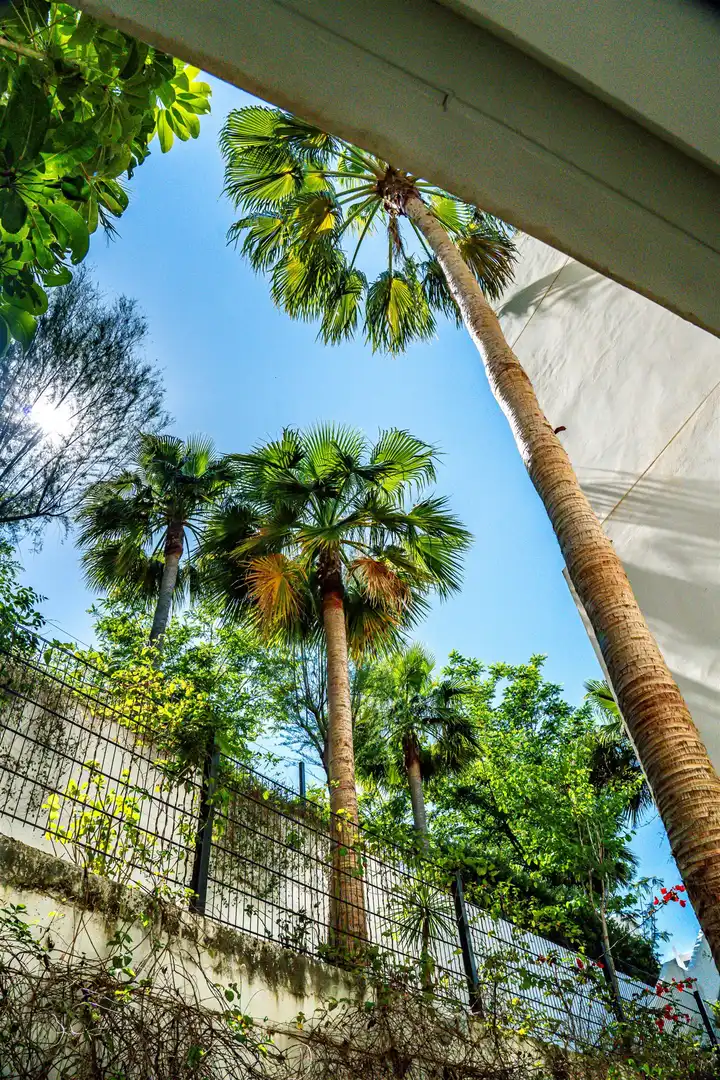 Vista exterior de Apartamento de alquiler en Ojén con Aire acondicionado, Calefacción y Terraza