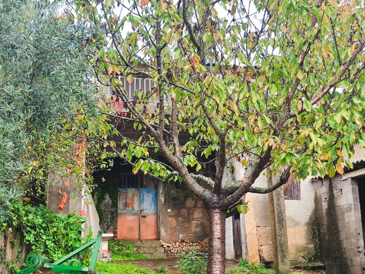 Außenansicht von Country house zum Verkauf in Oímbra mit Privatgarten und Terrasse