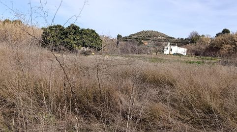 TERRENO RURAL EN CEHEGIN, immagine 2