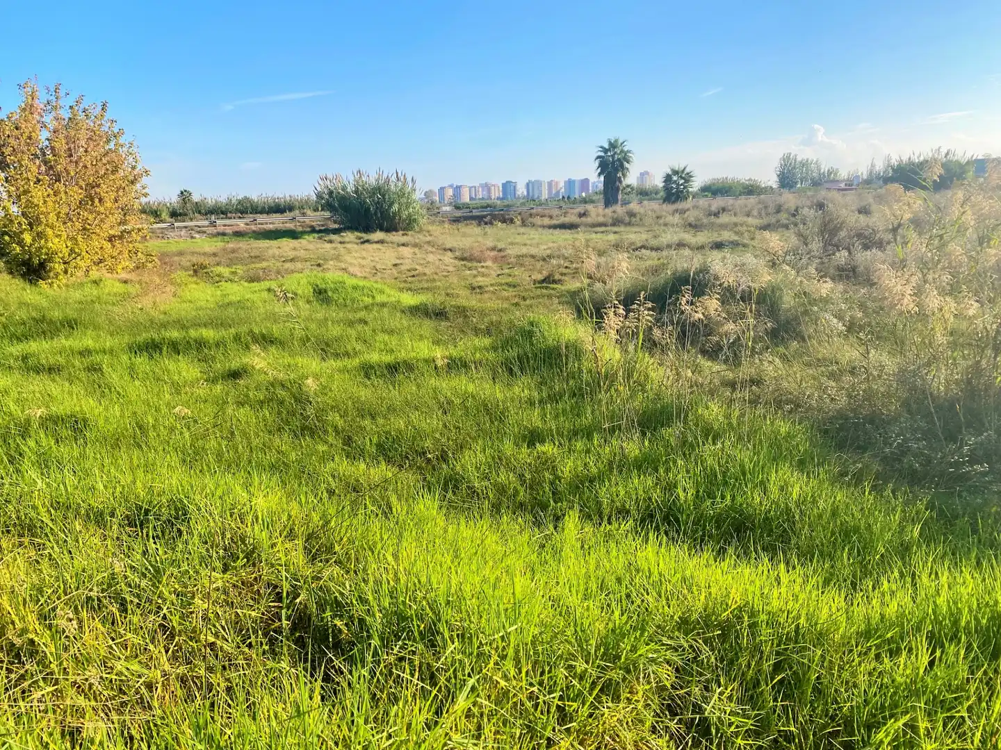 Terreno rustico in vendita a Carrer Estació 3, imagen 8