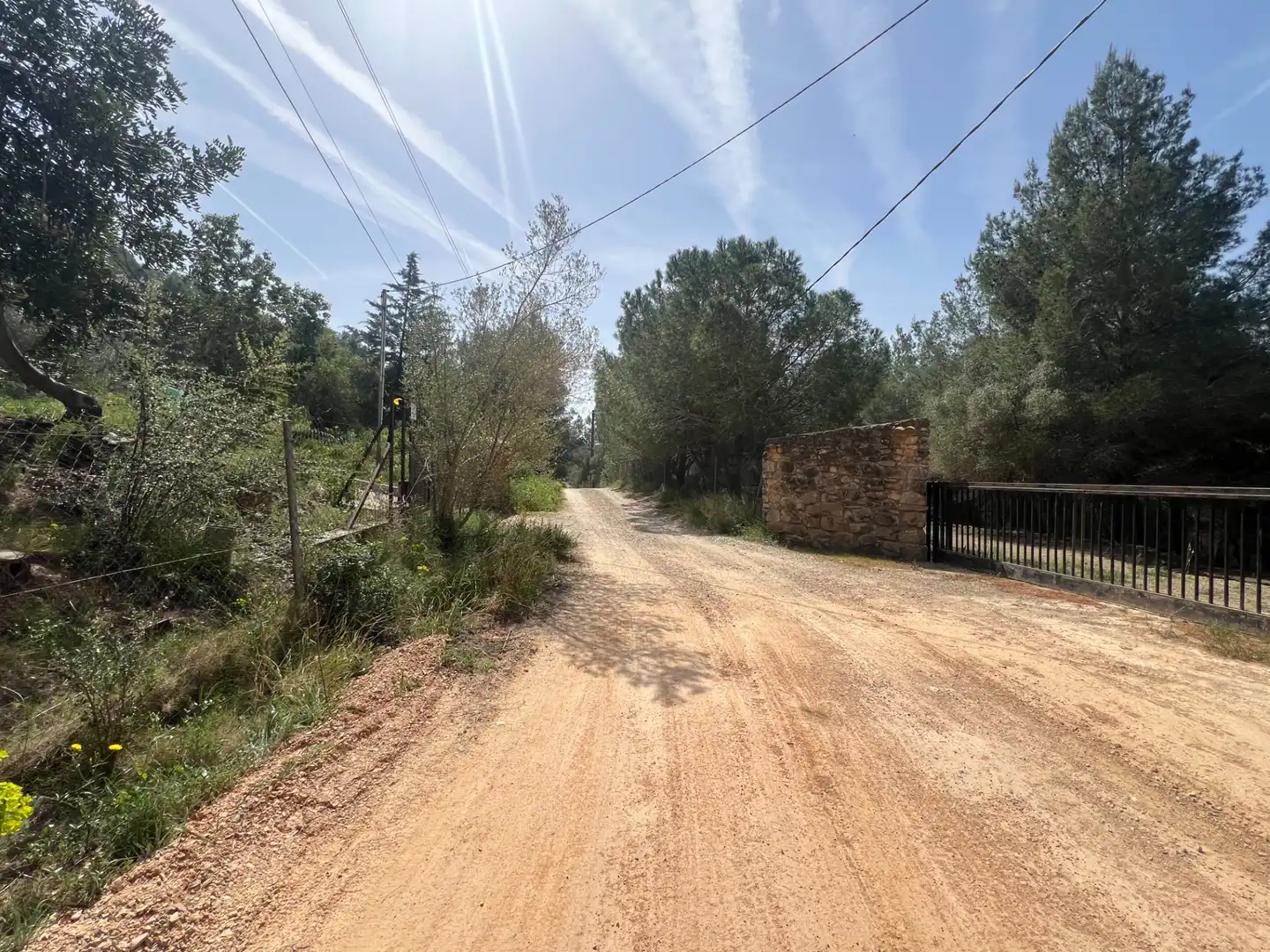 Terreno rústico en venta en Castellvell del Camp, imagen 3