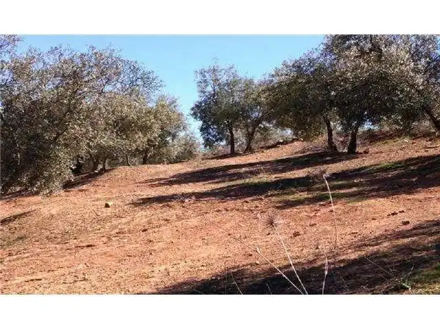 Terreni e lotti in vendita a Avenida Andalucía, imagen 2