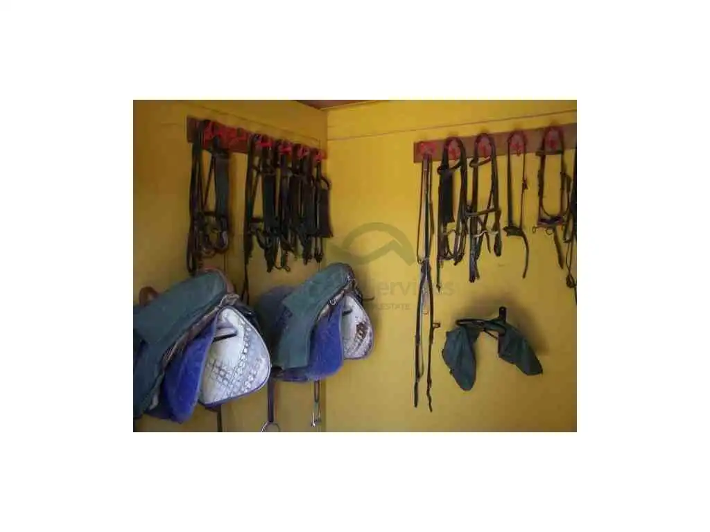 Casa en venta en Alcalá de los Gazules, imagen 2