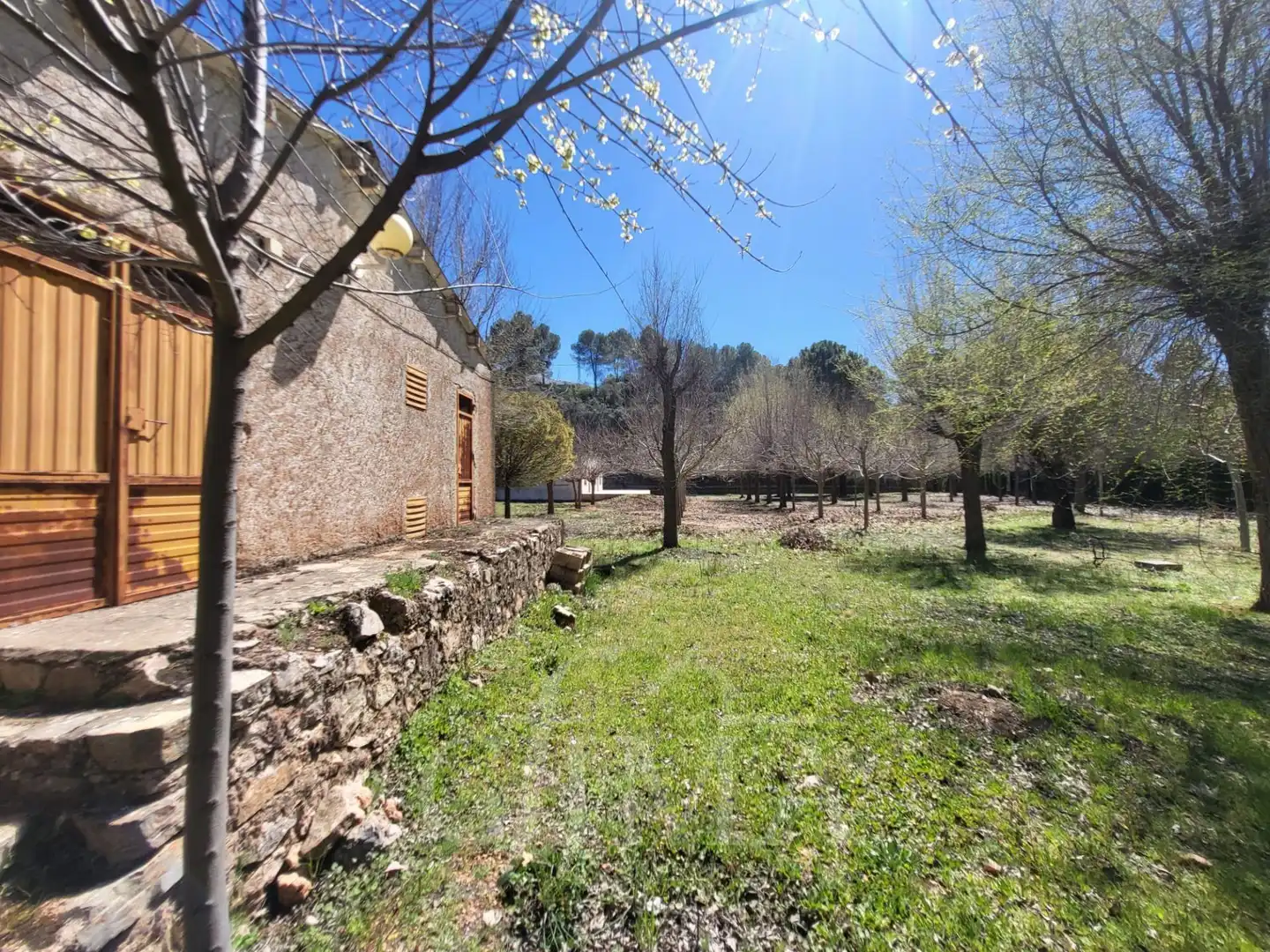 Garden of Land for sale in Ruidera