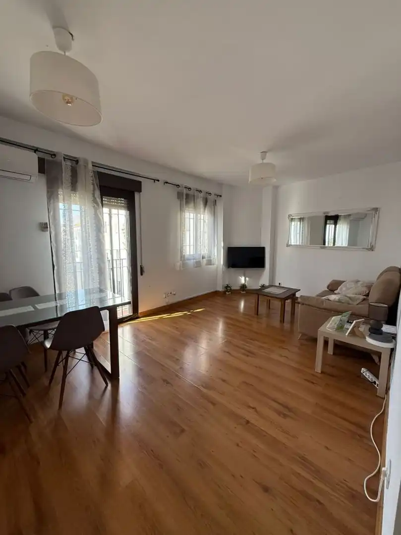 Sala d'estar de Pis en venda en Centro