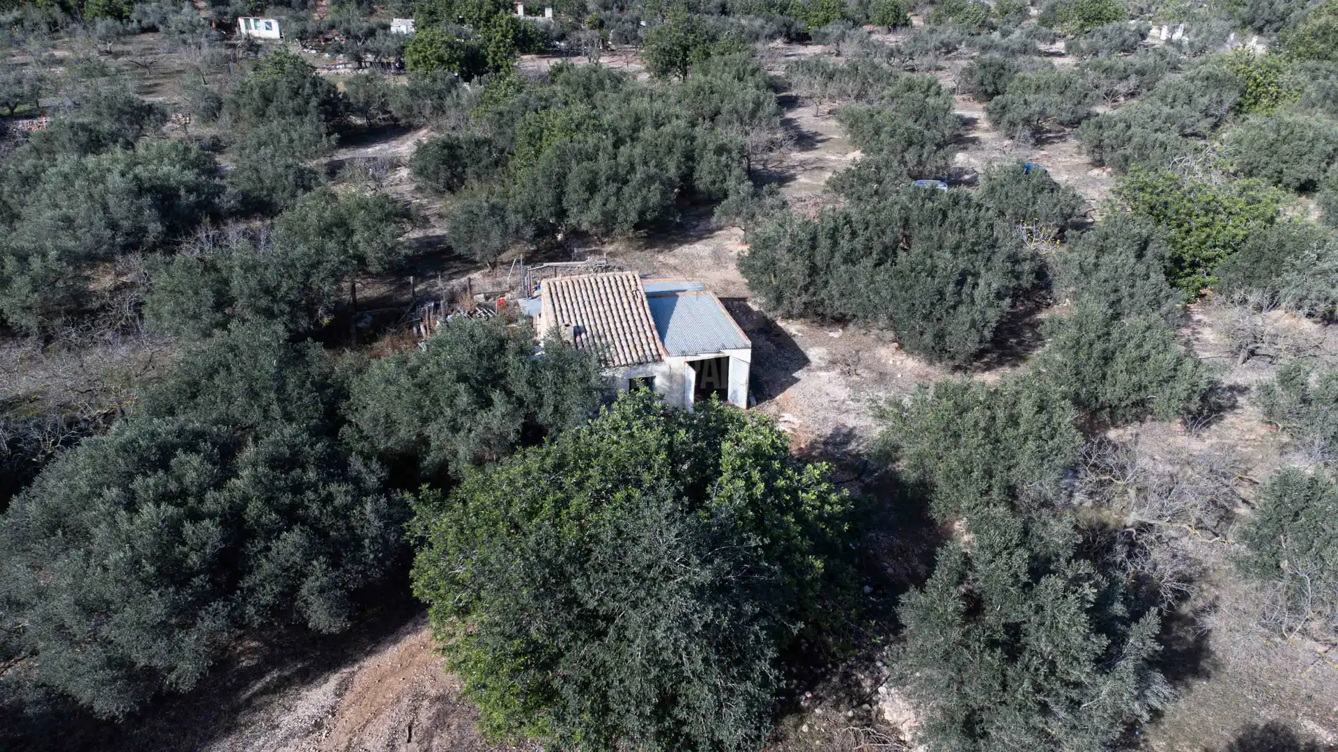 Landhaus mit Pool zum Verkauf in Roquetes, imagen 10