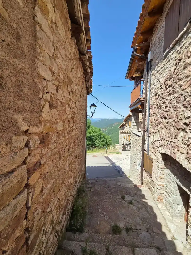 Vista exterior de Casa o chalet en venta en Castellar de n'Hug, Barcelona