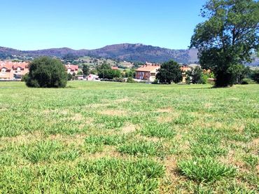 Terreni e lotti in vendita a Penagos