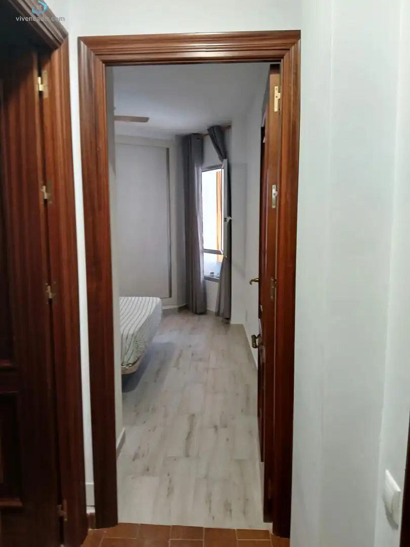 Flat with lift to rent in Paseo Marítimo - San José - La Laguna, imagen 13